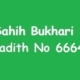 Sahih Bukhari Hadith 6664