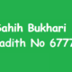 Sahih Bukhari Hadith 6777