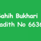 Sahih Bukhari Hadith 6636