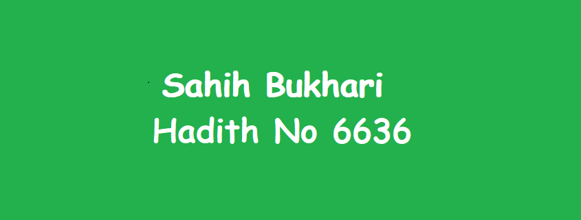 Sahih Bukhari Hadith 6636
