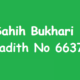 Sahih Bukhari Hadith 6637