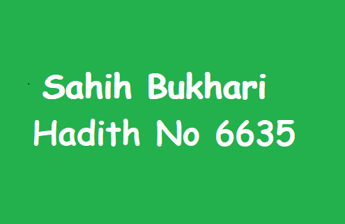 Sahih Bukhari Hadith 6635