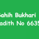 Sahih Bukhari Hadith 6635