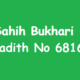 Sahih Bukhaari Hadith No 6816