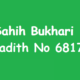Sahih Bukhari Hadith 6817